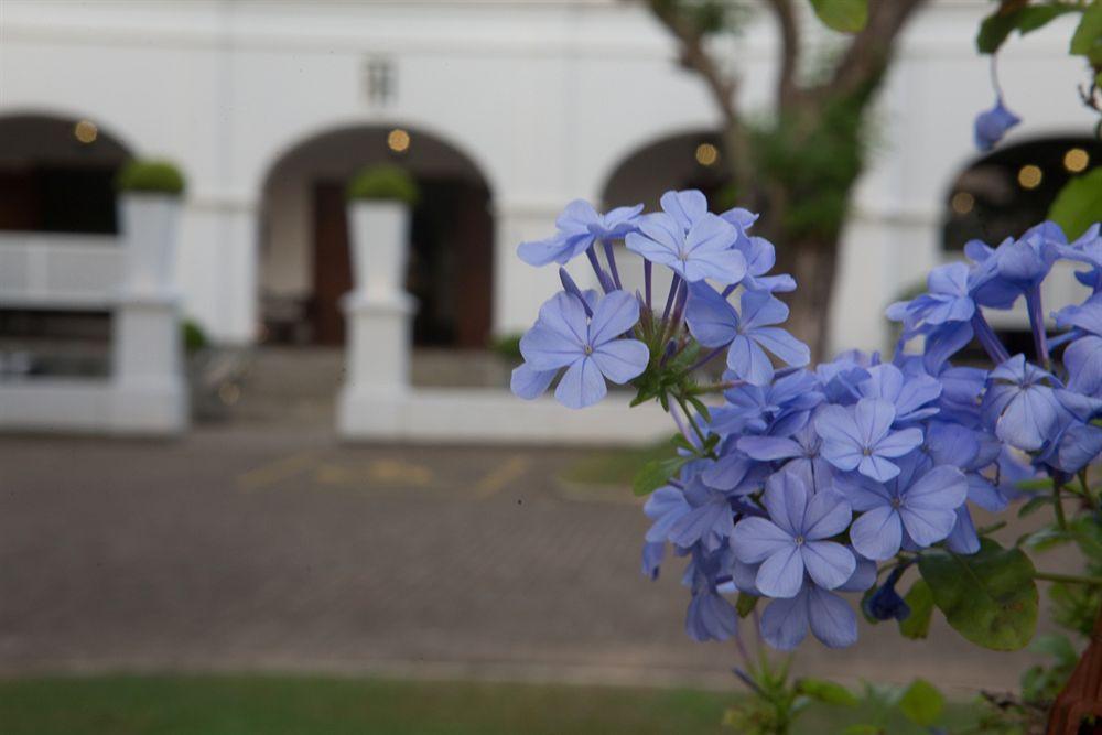 Tamarind Hill Hotell Galle Exteriör bild